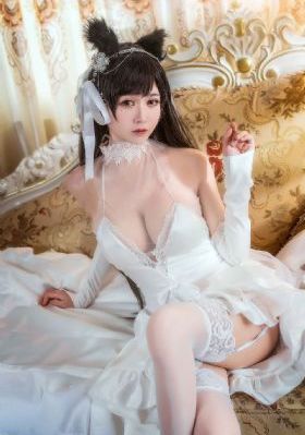 电视剧失笑免费观看全集_视频网址大全